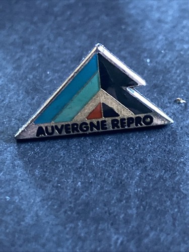 Pin société auvergne - pin’s,