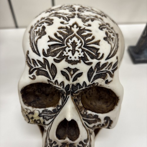 Elegante teschio umano