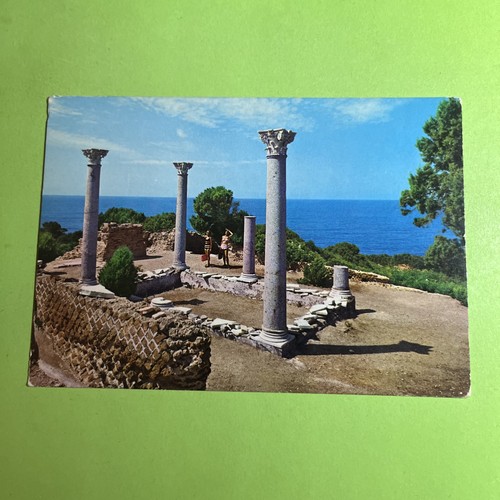 Isola giannutri villa - di,