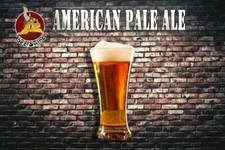 KIT RICETTA BIRRA FATTA IN