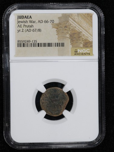 Guerra ebraica bronzo - ae,