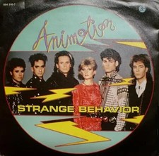 Animotion strange behaviour - animotion,