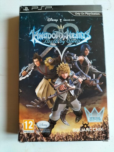 Kingdom hearts birth sleep - kingdom,