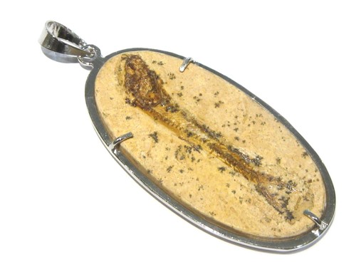 Ciondolo pesce fossile argento - pesce,