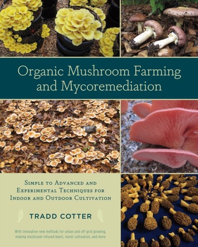 Organic mushroom farming - mushroom, &