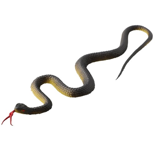 Alberi piante finto serpente - piante,
