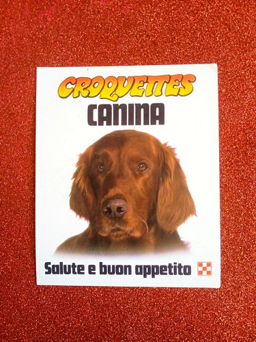 Adesivo croquettes canina - croquettes,