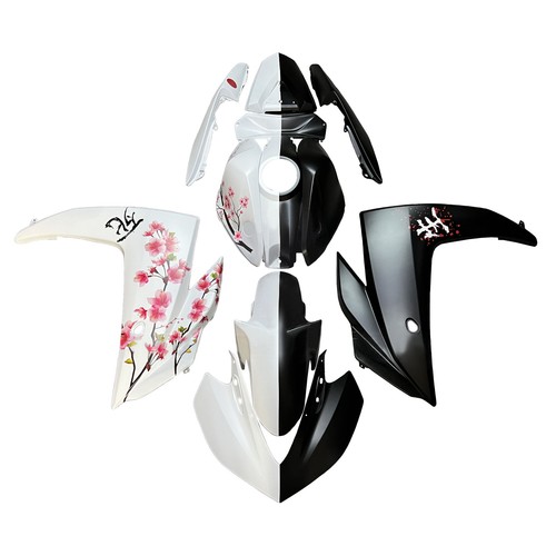Carénage fairing kit bodywork - kit,