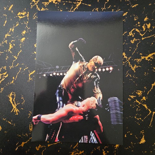 1999 titan sport wrestlemania - 1999,