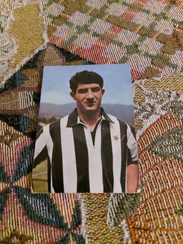 Figurina calciatori fidass - figurina,