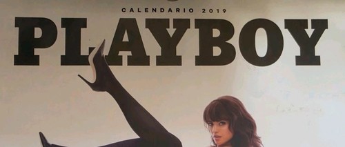 Playboy 2019