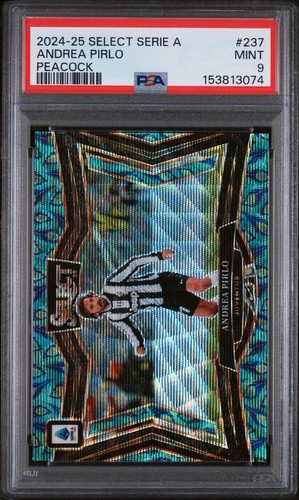 2024 panini select - 2024-25, a