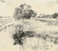 Studio del paesaggio con lago