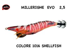 TOTANARA MOLIX MILLERIGHE