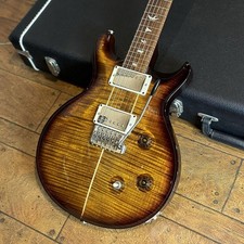 Guida elettrica usata Paul