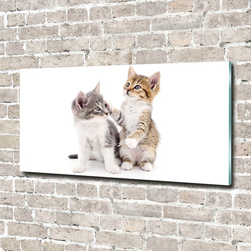 Glas bild wandbilder - glas-bild,
