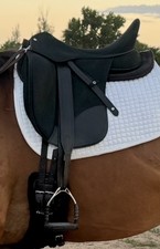 17 1/2” Wintec Isabell