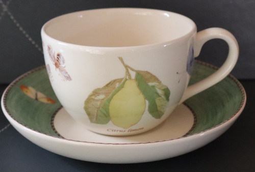 Tazza piattino wedgwood - e,