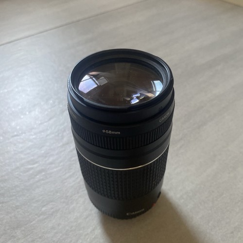 Canon 300mm 5 - ef, f/4-5.6