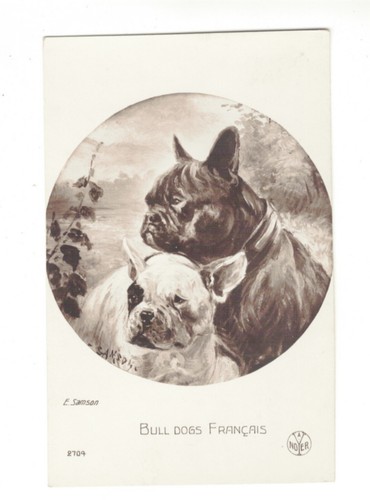 Cartolina animali cani cane - cartolina,