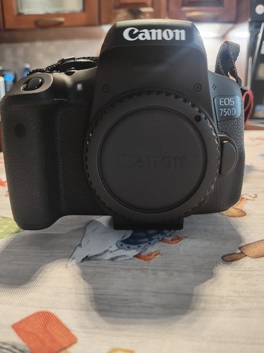 Canon eos 750d - eos, 24.2mpx
