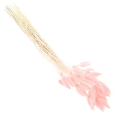  120 Pcs Composizione Floreale