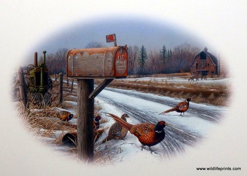 Greg bordignon solstizio - greg,
