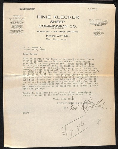 Hine klecker sheep commission - klecker,