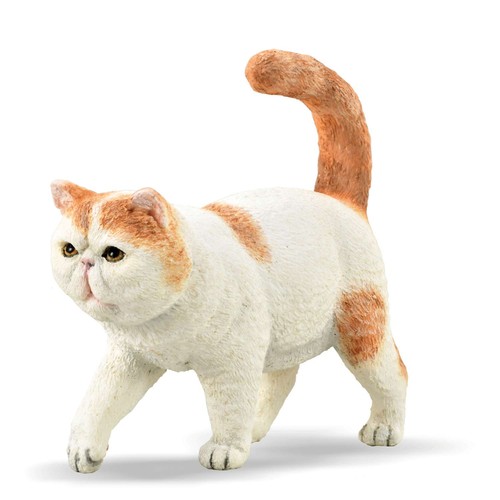 Collecta gatto esotico pelo - a,