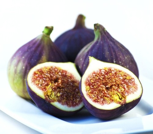 Ficus carica fico comune - ficus,