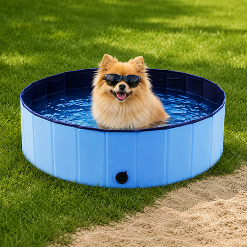 Piscina pieghevole per cani