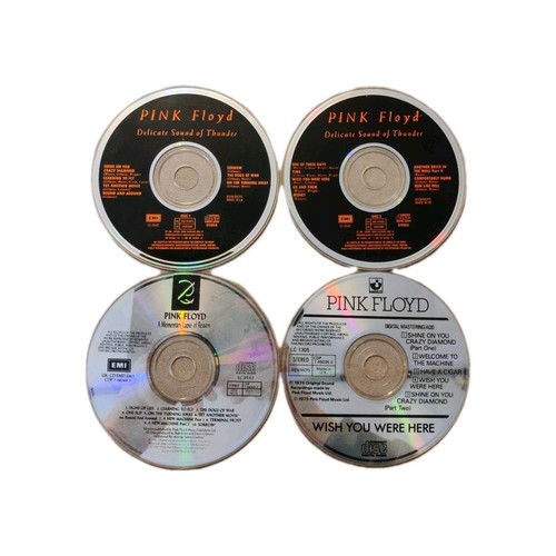 Pink floyd delicate sound - pink, of
