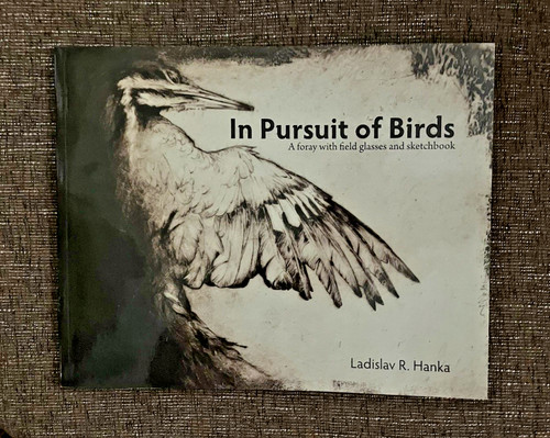 Pursuit birds a - in, foray