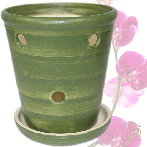 Vaso orchidea orchideen - orchidea, orchideen-topf