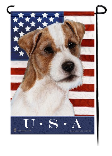 Jack russell terrier - jack,