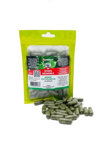 Capsule fitoplancton marino - fitoplancton,
