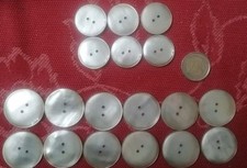 Bottoni Grandi, In Madre