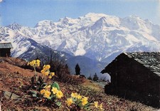 74 MASSIF DU MONT BLANC