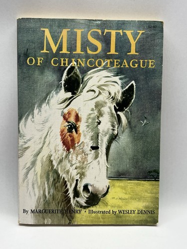 Misty chincoteague - misty, of