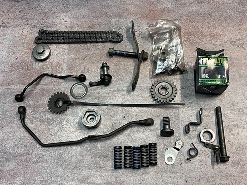 Catena distribuzione yamaha - catena,