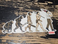 Supreme Evolution Sticker SS26