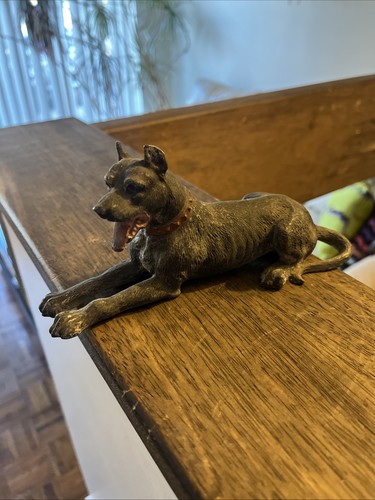 Great dane boar hound mastino - boar,