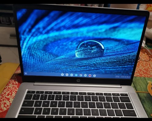 Chromebook - chromebook, hp