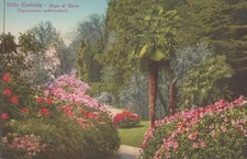 CARTOLINA  VILLA CARLOTTA COMO
