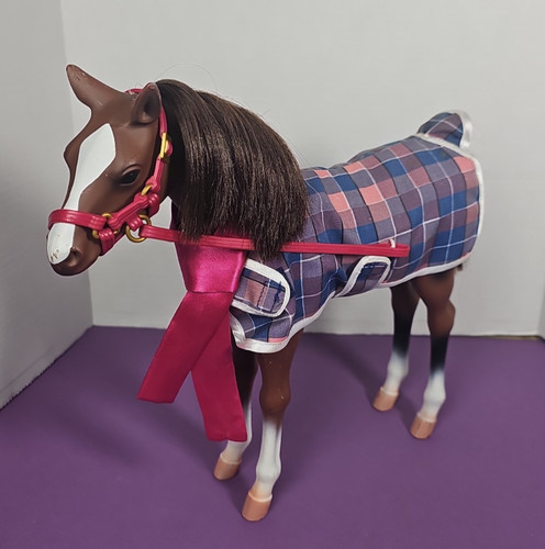 Our generation quarter horse - generation,