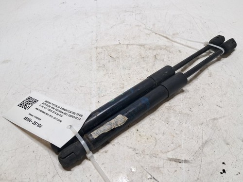 9802054 pistoncini - 9802054,