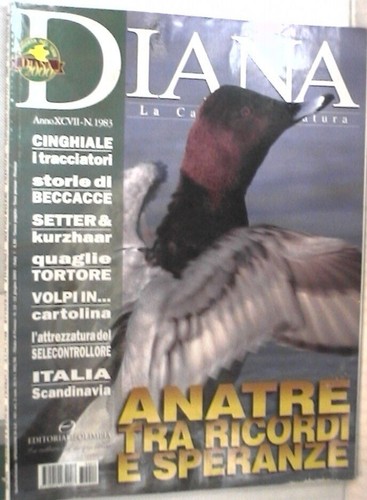 Diana 2003 acquatici setter - 12,