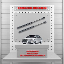 2 MOLLE A GAS BAGAGLIAIO AUDI