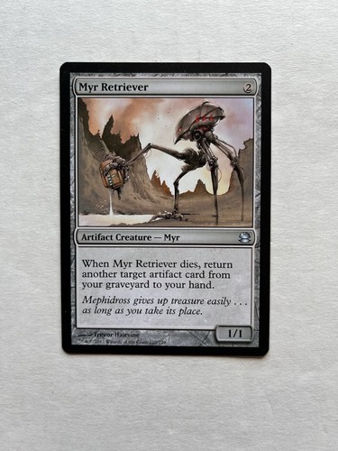 Myr retriever - retriever,