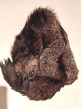 Pelliccia stola di volpe intera naturale